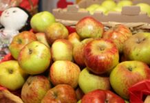 Zacatlán realizará su edición 80 de la Feria de la Manzana