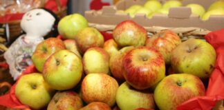 Zacatlán realizará su edición 80 de la Feria de la Manzana