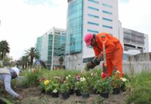 Inicia Ayuntamiento obras de remodelación de la Avenida Juárez