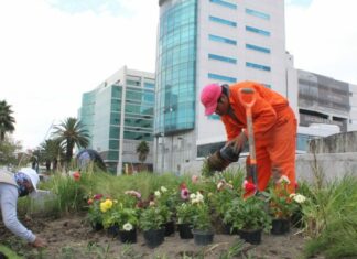 Inicia Ayuntamiento obras de remodelación de la Avenida Juárez