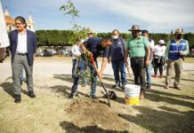 Realiza San Andrés Jornada de Reforestación en Tlaxcalancingo