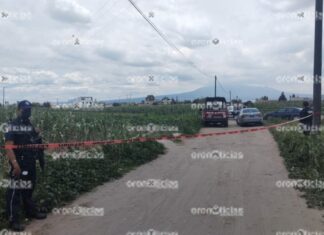 Hallan cadáver en campo de cultivo en Coronango
