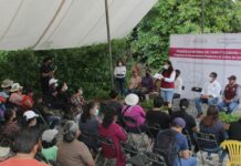 Entrega Ariadna Ayala 50 mil plantas para cultivo en Zarzamora