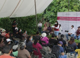 Entrega Ariadna Ayala 50 mil plantas para cultivo en Zarzamora