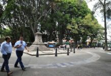 Alistan obras de mantenimiento y rehabilitación del Paseo Bravo