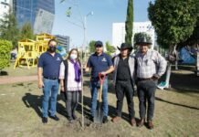 Realiza San Andrés Jornada de Forestación en Concepción Guadalupe