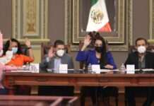Presentan iniciativa para promover políticas públicas contra la obesidad