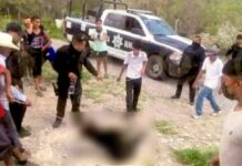 Oso Negro termina muerto a causa de la gente en Coahuila