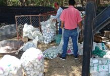 En Atlixco recolectan 1.5 toneladas de envases contaminantes