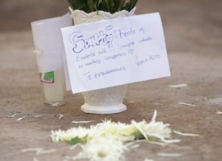 Despiden a Santiago, menor que falleció aplastado por un árbol