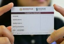 Bienestar inicia entrega de credenciales del Inapam bienestar