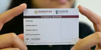 Bienestar inicia entrega de credenciales del Inapam bienestar