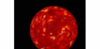 Científico francés se disculpa por presentar rodaja de chorizo como estrella científico