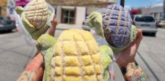 Conchelote, el pan dulce que es viral en redes sociales conchelote