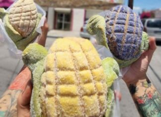 Conchelote, el pan dulce que es viral en redes sociales conchelote