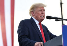 ¿Donald Trump puso en riesgo a EU por llevarse documentos? donald