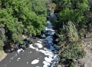 Clausuran a cuatro empresas por contaminar al afluente del Atoyac Empresas