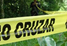 Hallan esqueletos de 4 personas en fosa clandestina de Tepeaca Tochtepec