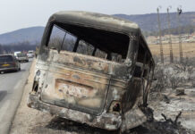 Incendios forestales en Argelia han dejado al menos 37 muertos incendios