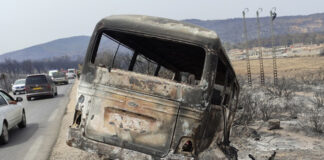 Incendios forestales en Argelia han dejado al menos 37 muertos incendios