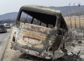 Incendios forestales en Argelia han dejado al menos 37 muertos incendios