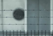 José Francisco irá a prisión por secuestro de menor en 1999 josé