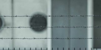 José Francisco irá a prisión por secuestro de menor en 1999 josé