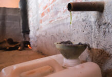 ¿Qué encuentro en la Ruta Agroturística del Mezcal? mezcal