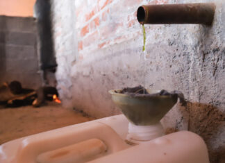 ¿Qué encuentro en la Ruta Agroturística del Mezcal? mezcal