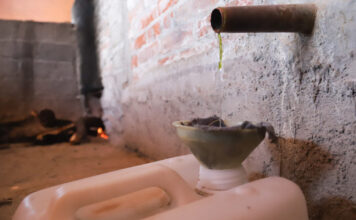 ¿Qué encuentro en la Ruta Agroturística del Mezcal? mezcal