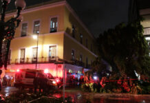 Mujer lesionada por colapso de árbol recibe alta médica mujer