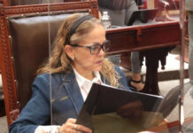 Olga Lucía Romero Garci-Crespo deja su curul en Congreso de Puebla olga