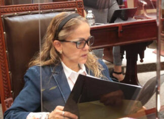 Olga Lucía Romero Garci-Crespo deja su curul en Congreso de Puebla olga