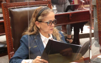 Olga Lucía Romero Garci-Crespo deja su curul en Congreso de Puebla olga