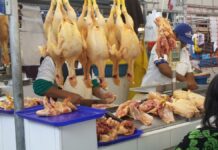 Pollería en mercado de CDMX ofrece curso de verano para niños