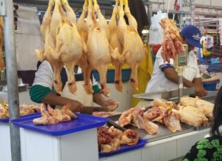 Pollería en mercado de CDMX ofrece curso de verano para niños