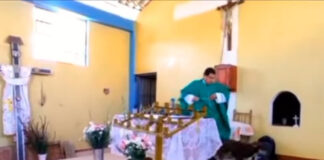 ¡Qué poca! Sacerdote peruano patea a perro en plena misa sacerdote