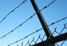 Secuestro de hombre es castigado con 50 años de prisión Secuestro