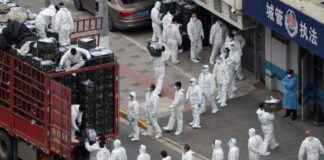 Covid-19: anuncian confinamiento por rebrote en Shangai shanghái