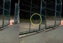 Trailero capta a supuesta niña fantasma en carretera de Veracruz trailero