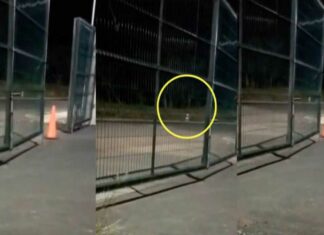 Trailero capta a supuesta niña fantasma en carretera de Veracruz trailero