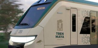 Tribunal da luz verde a Tramo 5 Sur del Tren Maya tribunal