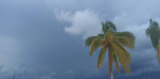 Depresión Tropical Doce-E mata a 2 personas en Guerrero Depresión