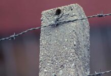 José Hugo intentó violar a niña en tienda de Cuautlancingo José Hugo