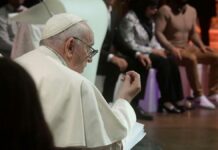 Papa Francisco llama a cuestionar modelo de desarrollo Papa