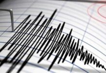 Se registra microsismo magnitud 2.2 con epicentro en CDMX Sismo