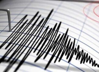 Sismo magnitud 7.7 en Michoacán lleva mil 582 réplicas Sismo