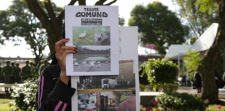 Tecate Comuna: Gobierno alista reunión para reubicar el festival Tecate Comuna