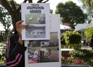 Tecate Comuna: Gobierno alista reunión para reubicar el festival Tecate Comuna