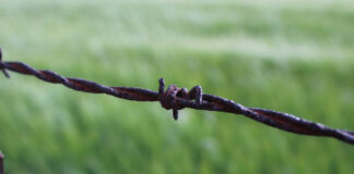 Tomás prostituyó a su pareja menor de edad; irá a prisión Tomás